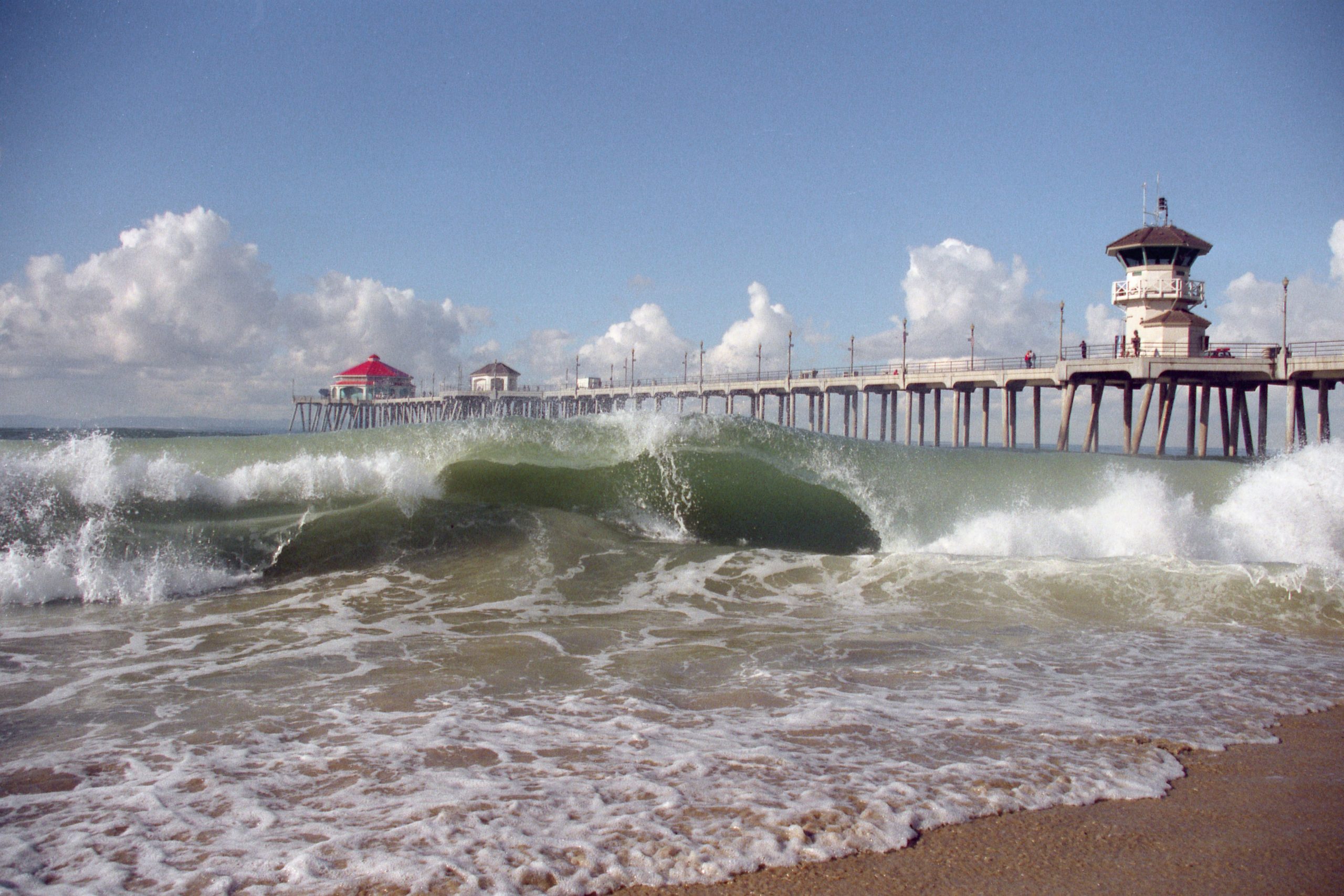 New-Green-Wave-scaled.jpg